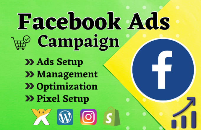 Facebook Ads Campaign Manager