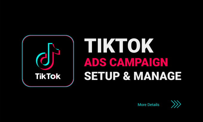 TikTok Ads Expert