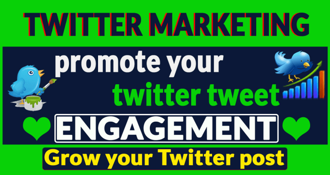 Image of the Twitter Marketing and Promotion Fiverr Gig